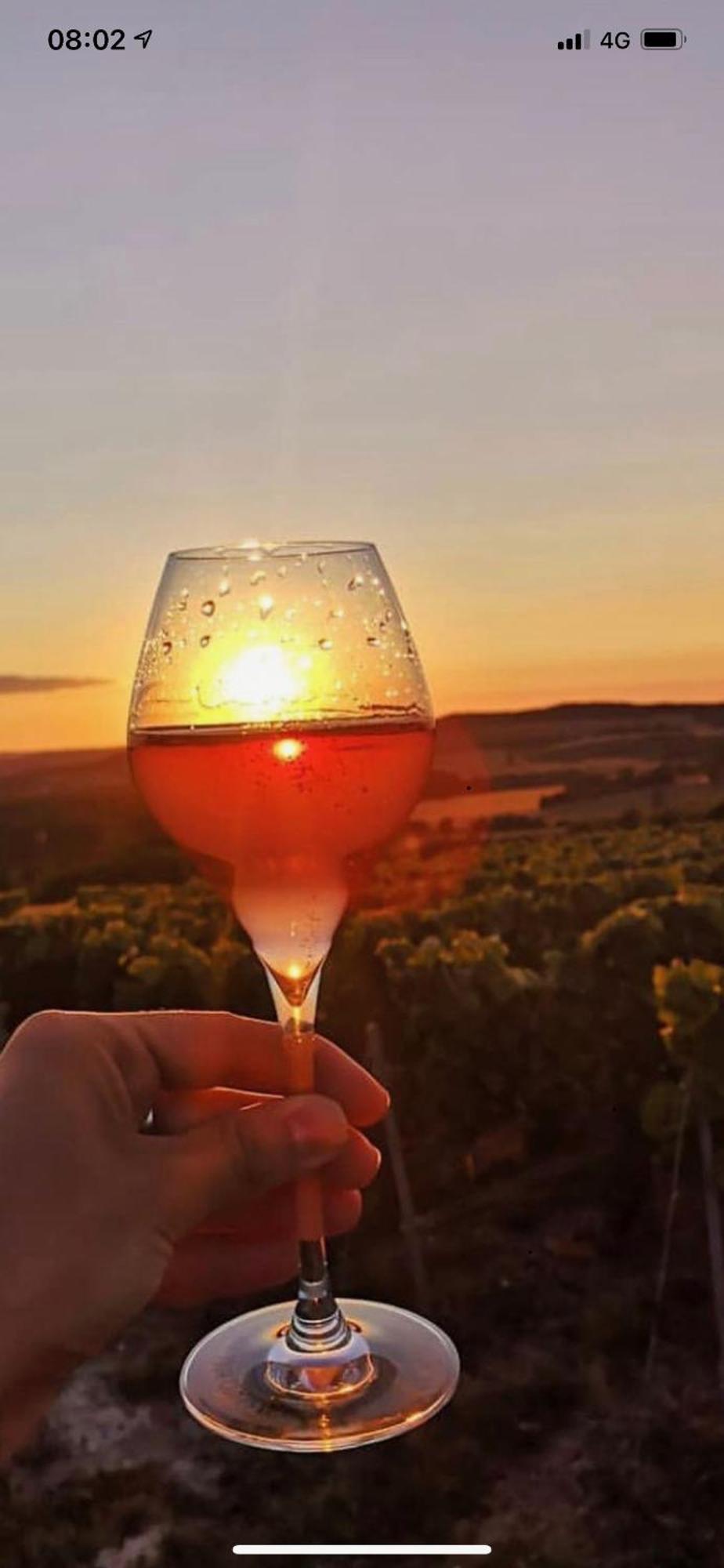 Gites Des Sablons Châtillon-sur-Marne Esterno foto